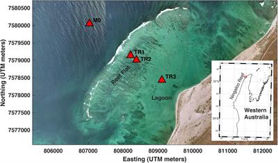 Spectral Wave-Driven Bedload Transport Across a Coral Reef Flat/Lagoon Complex